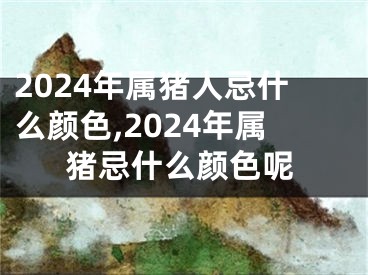 2024年属猪人忌什么颜色,2024年属猪忌什么颜色呢