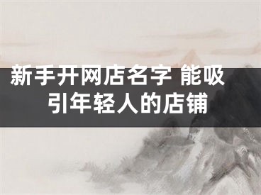 新手开网店名字 能吸引年轻人的店铺