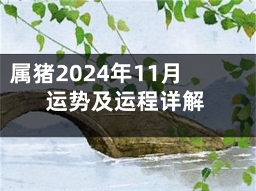 属猪2024年11月运势及运程详解