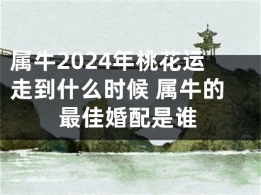 属牛2024年桃花运走到什么时候 属牛的最佳婚配是谁