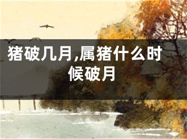 猪破几月,属猪什么时候破月