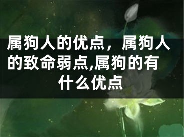 属狗人的优点，属狗人的致命弱点,属狗的有什么优点