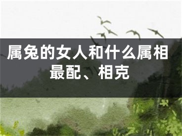 属兔的女人和什么属相最配、相克