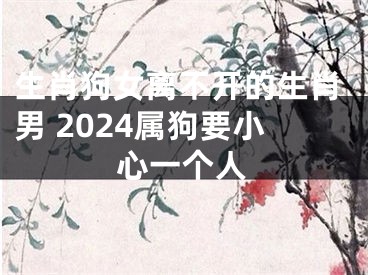 生肖狗女离不开的生肖男 2024属狗要小心一个人