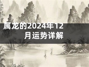 属龙的2024年12月运势详解