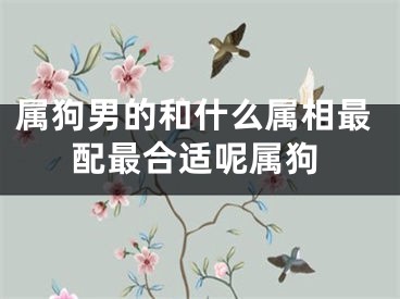 属狗男的和什么属相最配最合适呢属狗