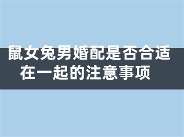 鼠女兔男婚配是否合适 在一起的注意事项