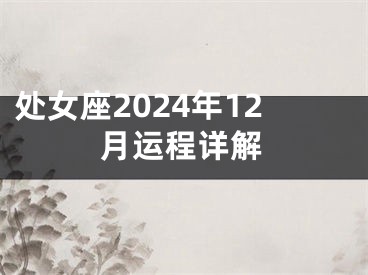 处女座2024年12月运程详解
