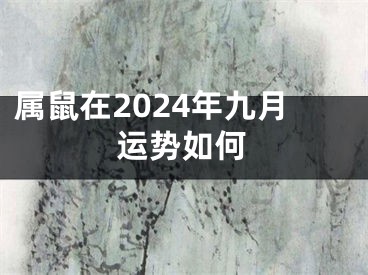 属鼠在2024年九月运势如何