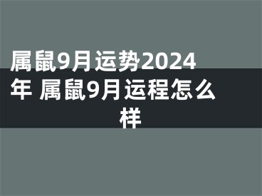 属鼠9月运势2024年 属鼠9月运程怎么样