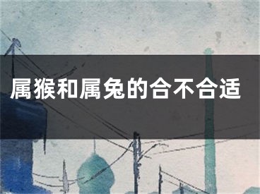 属猴和属兔的合不合适