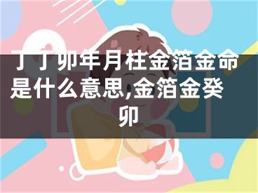 丁丁卯年月柱金箔金命是什么意思,金箔金癸卯