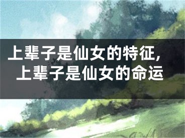 上辈子是仙女的特征,上辈子是仙女的命运