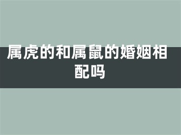 属虎的和属鼠的婚姻相配吗