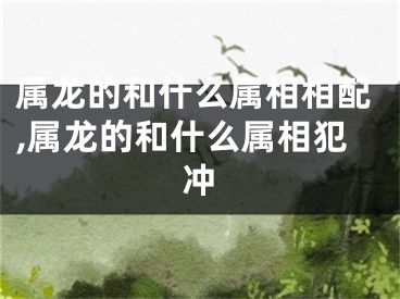 属龙的和什么属相相配,属龙的和什么属相犯冲