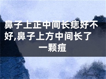 鼻子上正中间长痣好不好,鼻子上方中间长了一颗痘