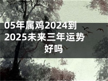05年属鸡2024到2025未来三年运势好吗