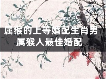 属猴的上等婚配生肖男 属猴人最佳婚配