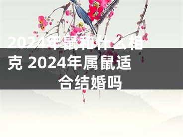 2024年鼠和什么相克 2024年属鼠适合结婚吗
