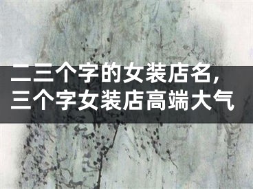 二三个字的女装店名,三个字女装店高端大气