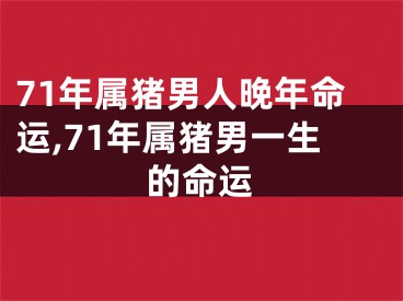 71年属猪男人晚年命运,71年属猪男一生的命运