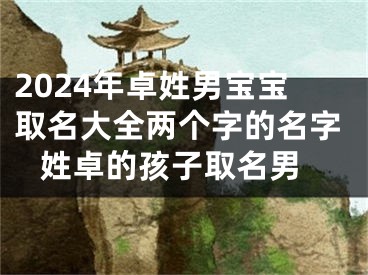 2024年卓姓男宝宝取名大全两个字的名字 姓卓的孩子取名男
