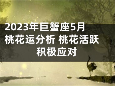 2023年巨蟹座5月桃花运分析 桃花活跃积极应对