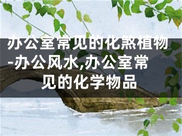 办公室常见的化煞植物-办公风水,办公室常见的化学物品