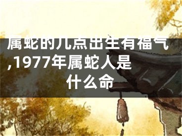属蛇的几点出生有福气,1977年属蛇人是什么命