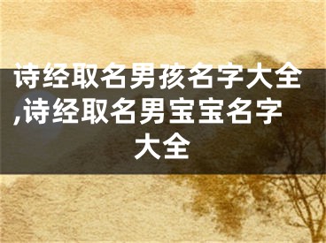 诗经取名男孩名字大全,诗经取名男宝宝名字大全