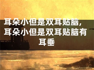 耳朵小但是双耳贴脑,耳朵小但是双耳贴脑有耳垂