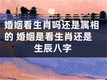 婚姻看生肖吗还是属相的 婚姻是看生肖还是生辰八字