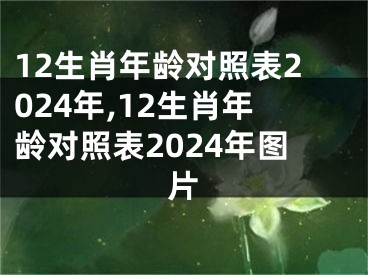 12生肖年龄对照表2024年,12生肖年龄对照表2024年图片