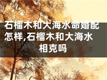 石榴木和大海水命婚配怎样,石榴木和大海水相克吗