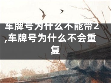 车牌号为什么不能带2,车牌号为什么不会重复