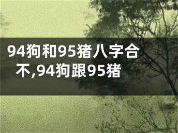 94狗和95猪八字合不,94狗跟95猪