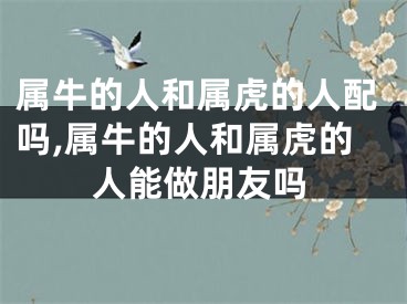 属牛的人和属虎的人配吗,属牛的人和属虎的人能做朋友吗