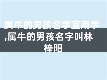 属牛的男孩名字宜用字,属牛的男孩名字叫林梓阳