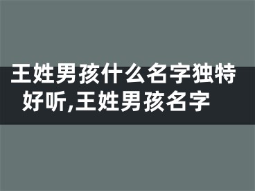 王姓男孩什么名字独特好听,王姓男孩名字