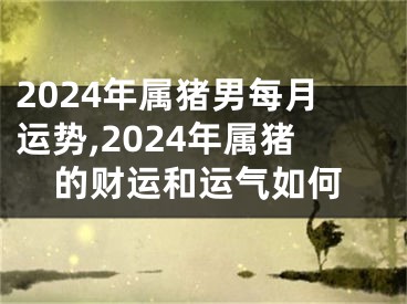 2024年属猪男每月运势,2024年属猪的财运和运气如何