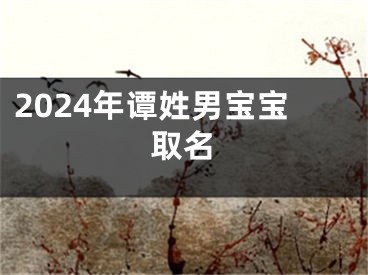 2024年谭姓男宝宝取名