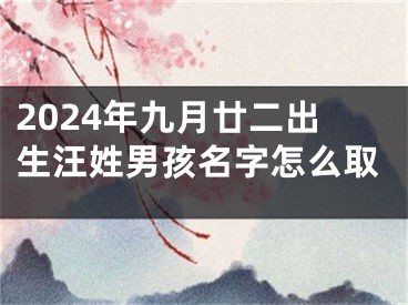 2024年九月廿二出生汪姓男孩名字怎么取