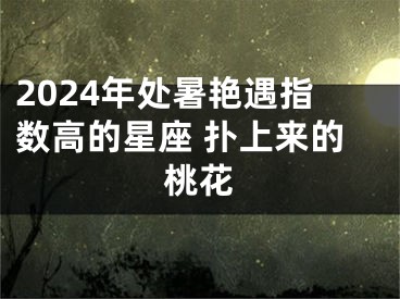 2024年处暑艳遇指数高的星座 扑上来的桃花
