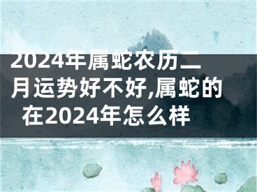 2024年属蛇农历二月运势好不好,属蛇的在2024年怎么样