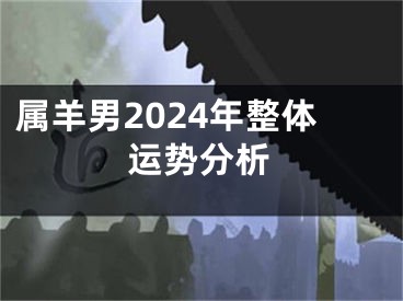 属羊男2024年整体运势分析