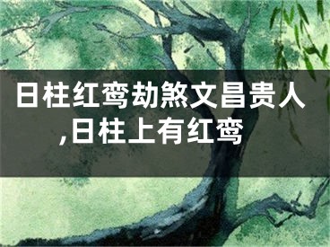 日柱红鸾劫煞文昌贵人,日柱上有红鸾