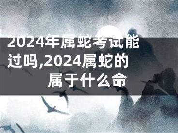 2024年属蛇考试能过吗,2024属蛇的属于什么命