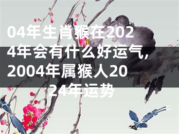 04年生肖猴在2024年会有什么好运气,2004年属猴人2024年运势