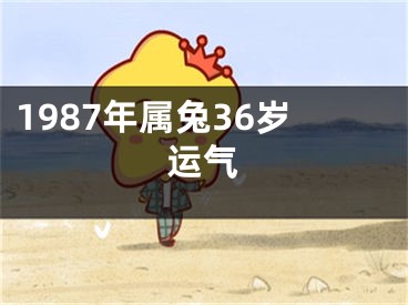 1987年属兔36岁运气