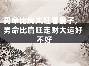 男命比肩太旺看妻子,男命比肩旺走财大运好不好